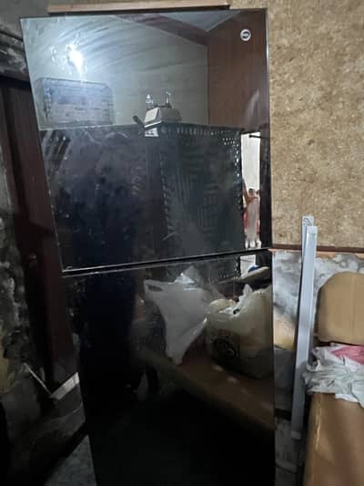 Pel Glass door Refrigerator