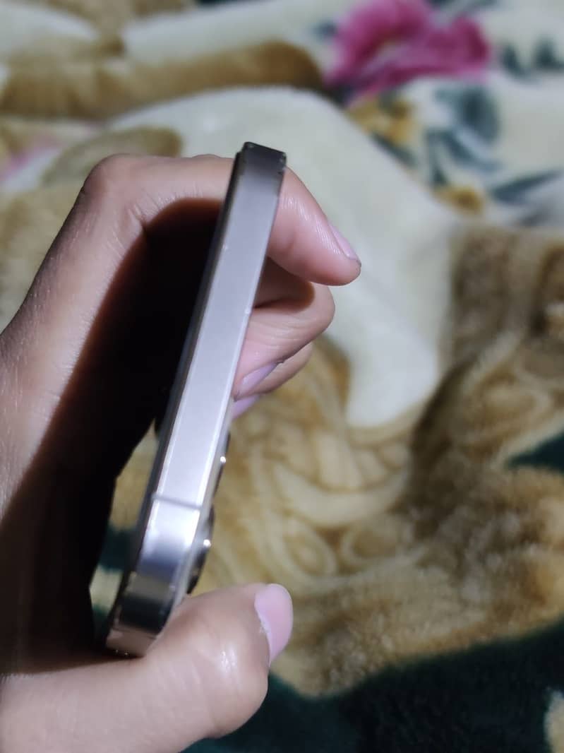 Apple iPhone 12 Pro Max 1