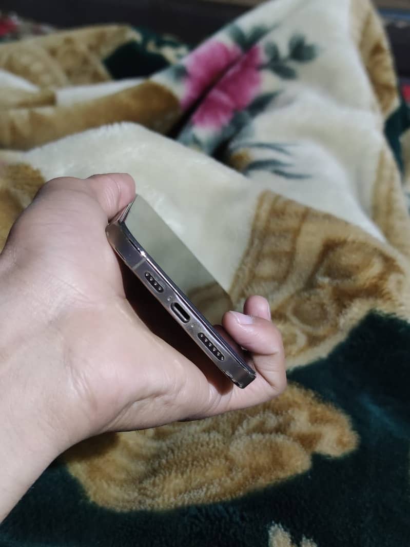 Apple iPhone 12 Pro Max 2
