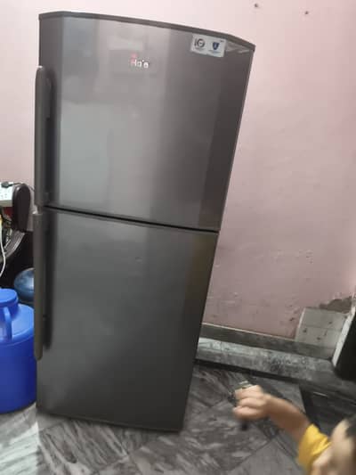 Haier Refrigrator