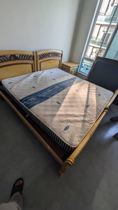 SIngle Double Spring Bed mattress/double mattress/foam/Medicated