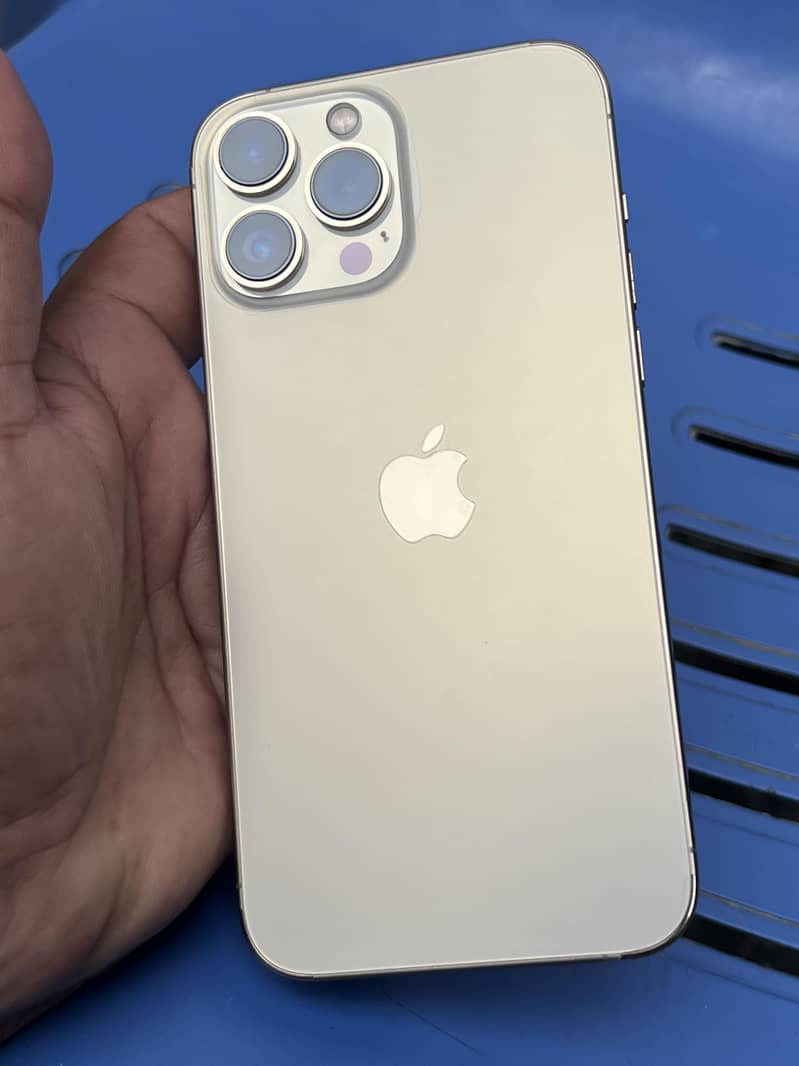 iPhone 13 Pro Max 0