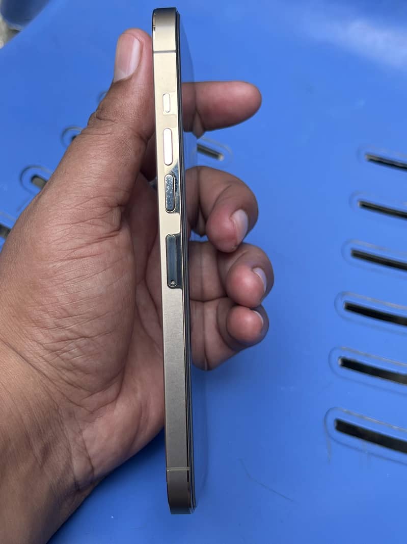 iPhone 13 Pro Max 2