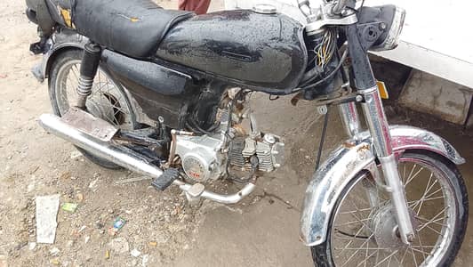 jhnagi syedain