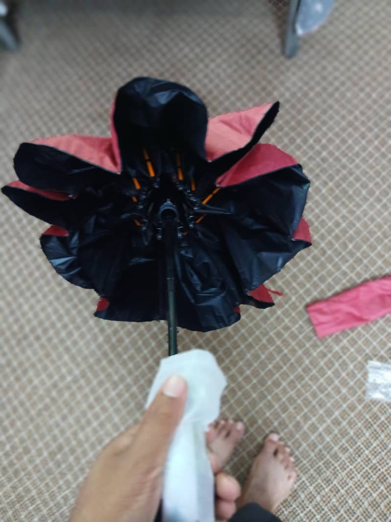Improted Umbrella  1