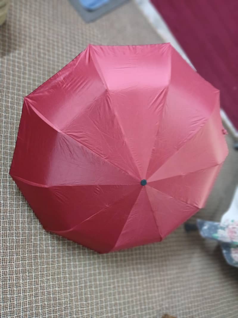Improted Umbrella  2