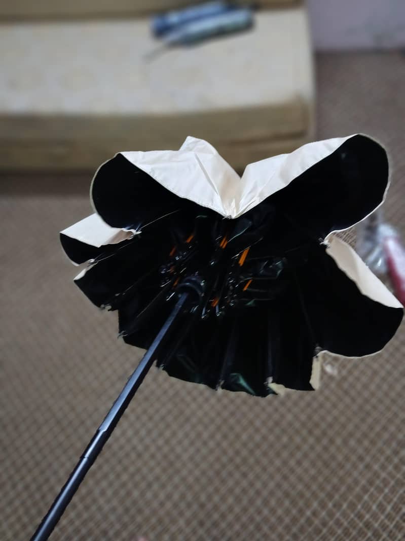 Improted Umbrella  6
