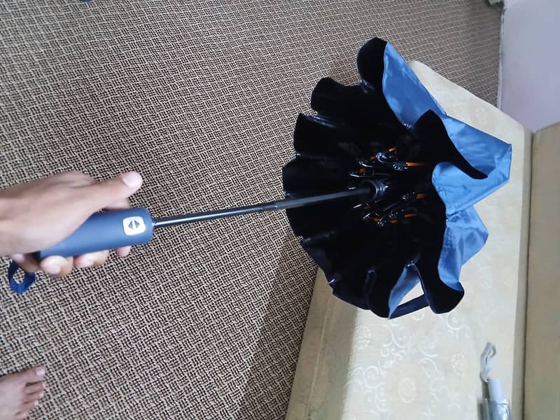 Improted Umbrella  12