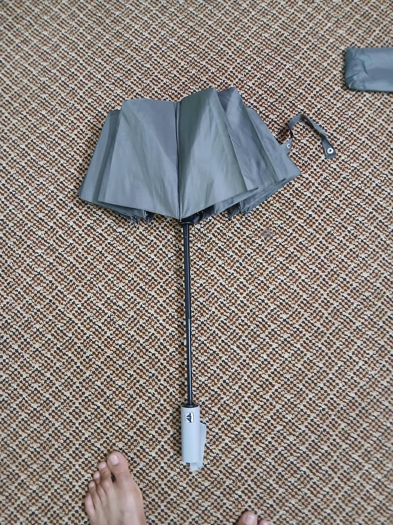 Improted Umbrella  17