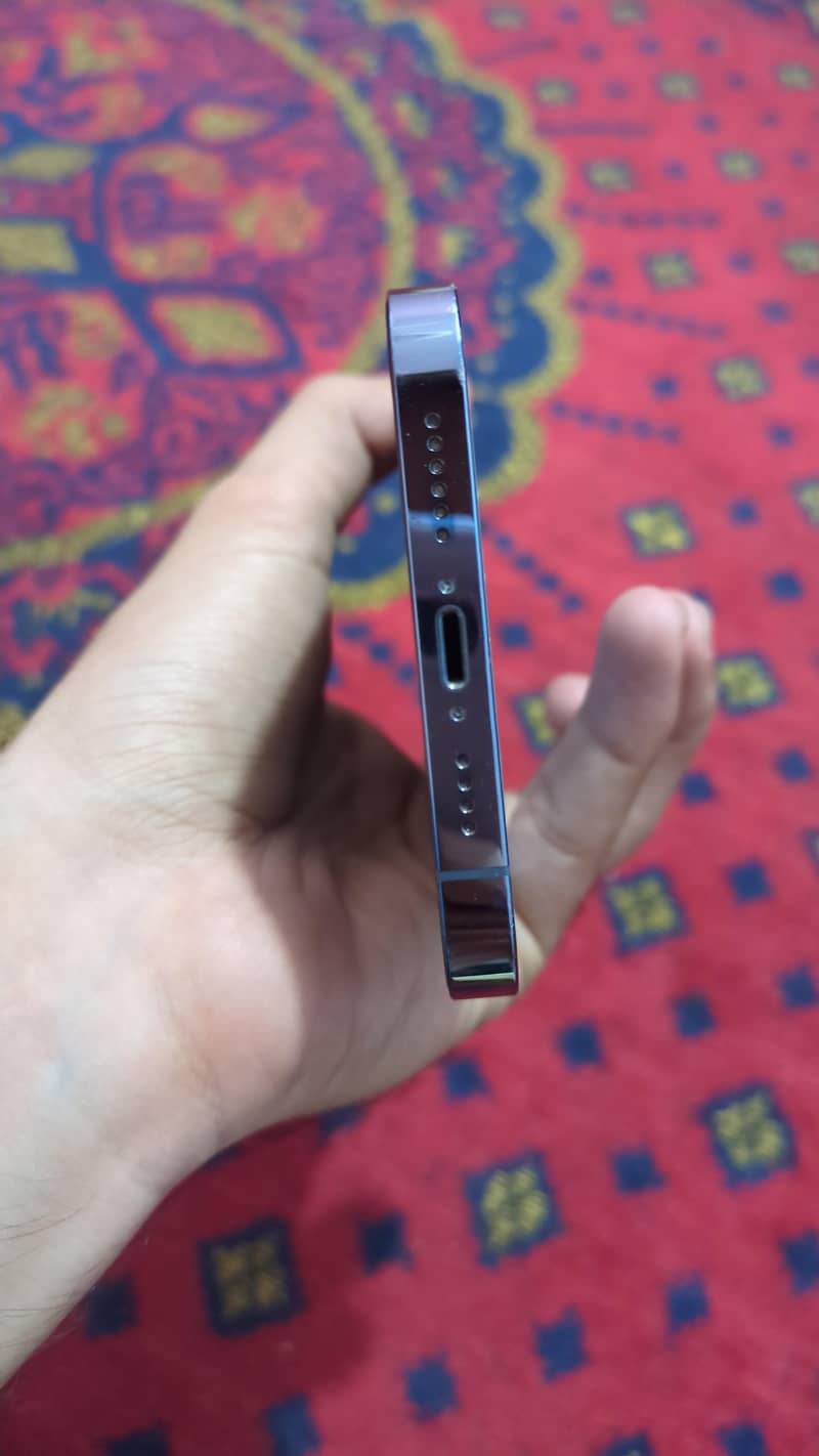 Apple iPhone 13 Pro Max 3
