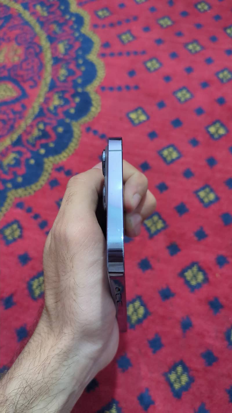 Apple iPhone 13 Pro Max 5