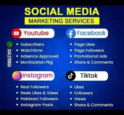 Social Media Expert