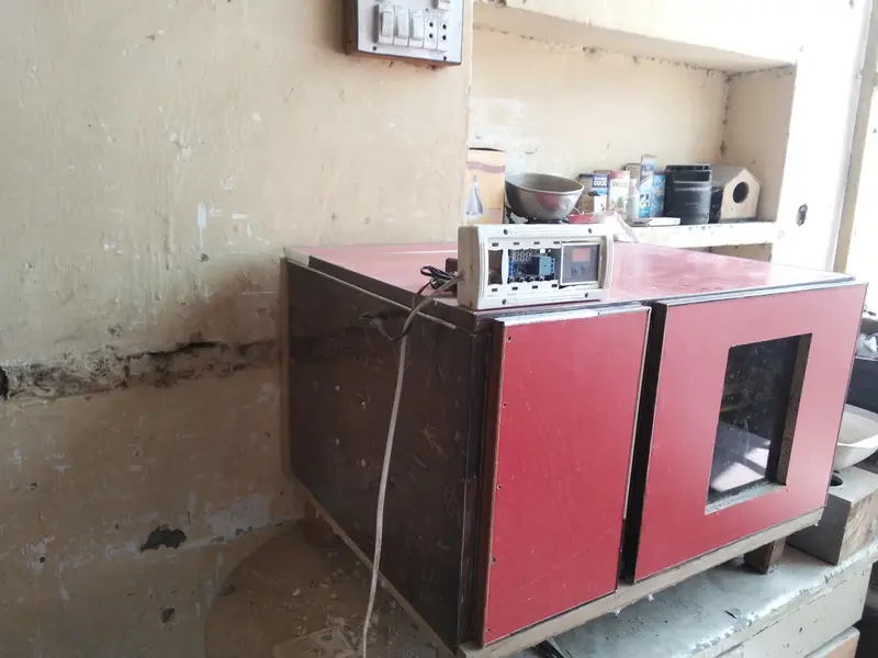 new incubator auto — photo 2