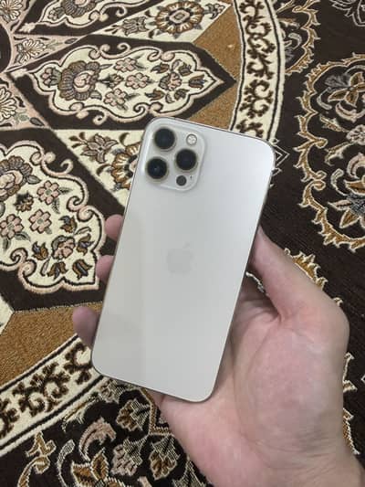 Apple iPhone 12 Pro Max