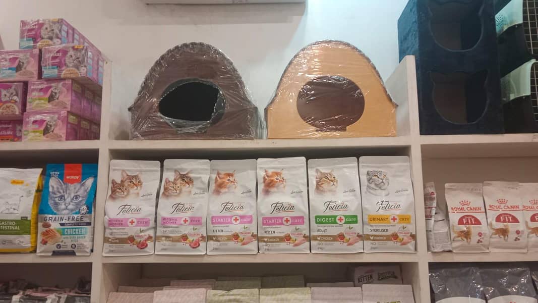cat house 0
