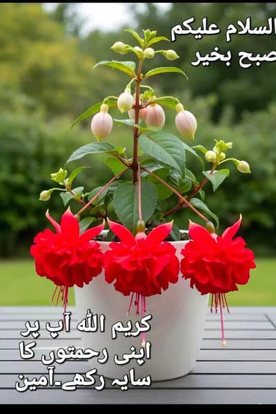 میاں بیوی کو کام کی ضرورت ہے