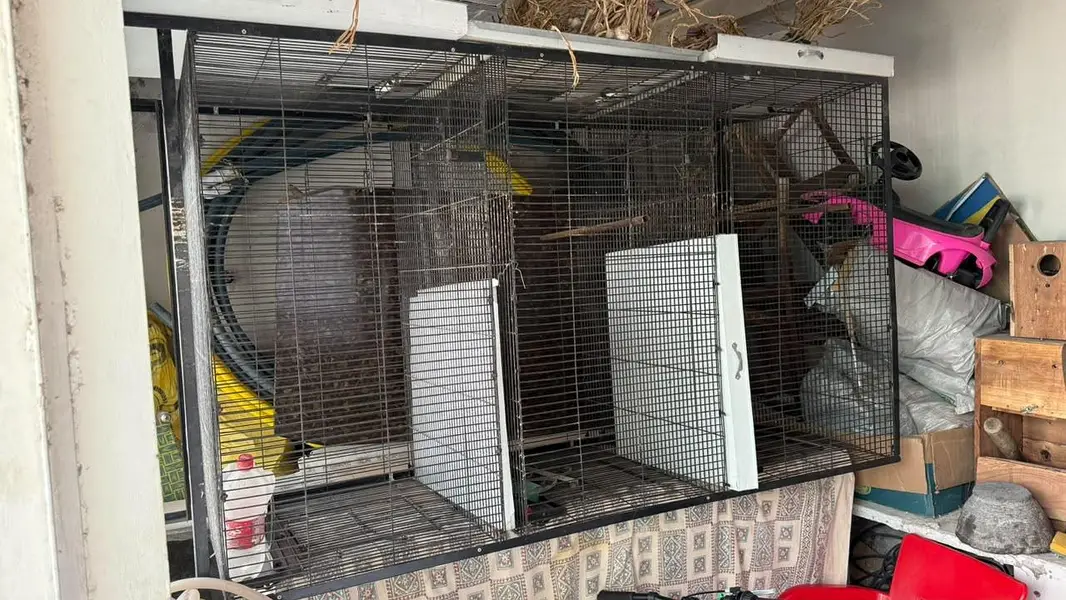 cage for sale 3 portion — photo 2