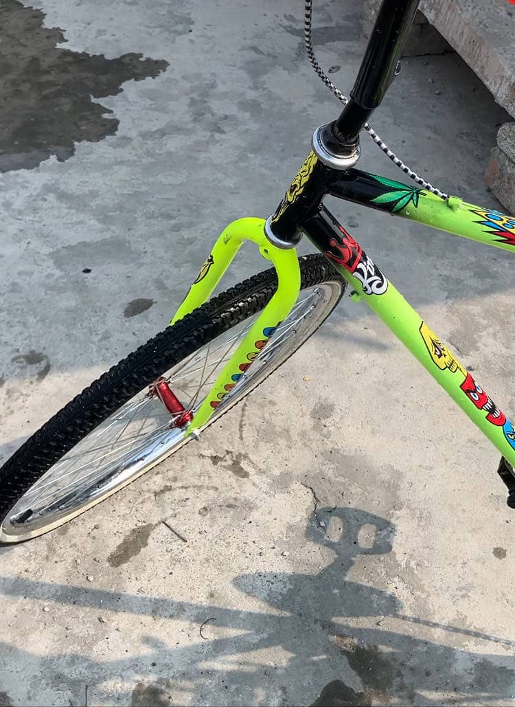 Phonix cycle 6