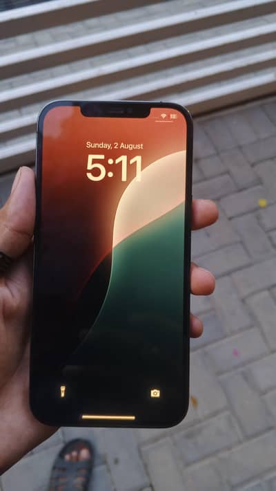 Apple iPhone 12 Pro Max