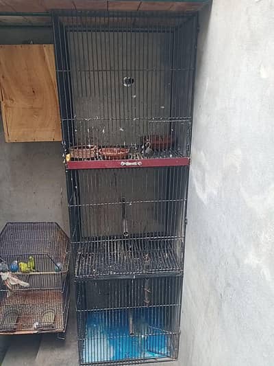 Raw breeding box for sell or cage