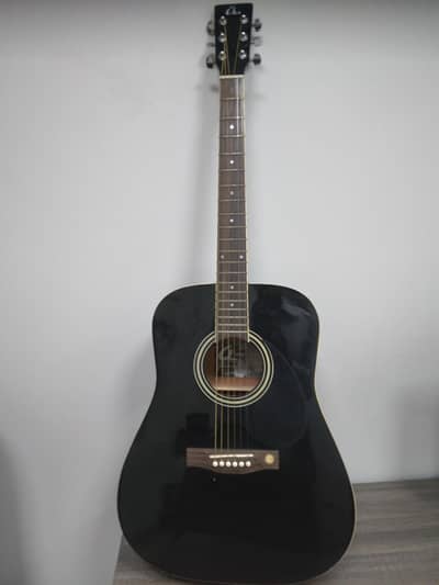 Professional Guitar with Lowest Price