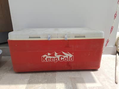 cooler for picnic