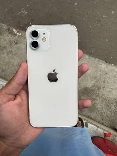 Apple iPhone 12 water pack