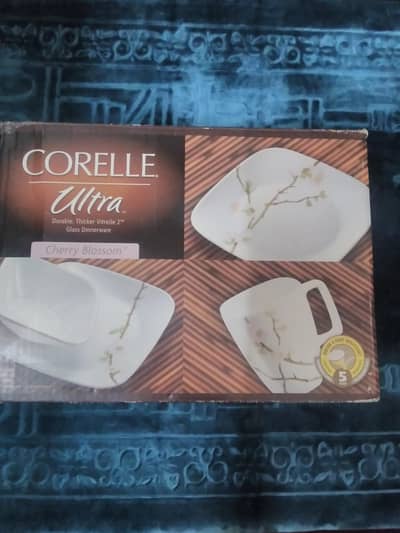 Corelle food plates