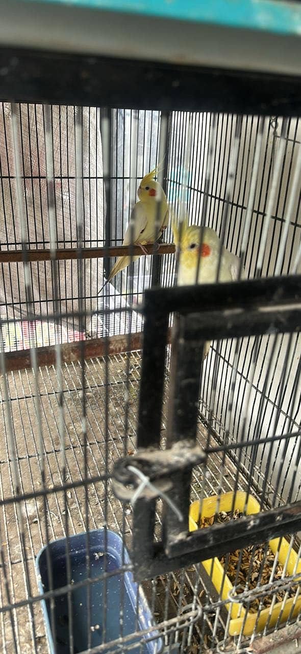Selling 3
