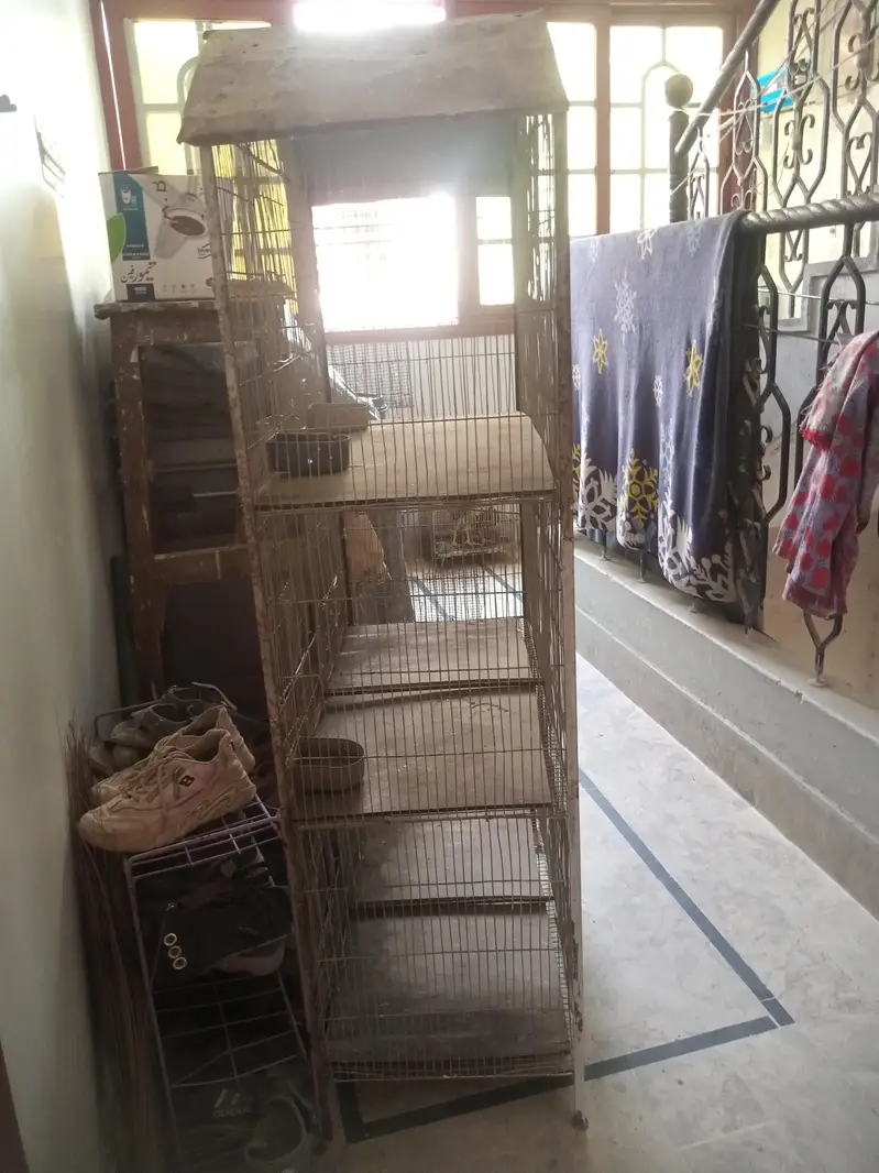 urgent for sale 3 portion — photo 2