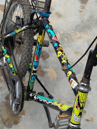 phoenix cycle