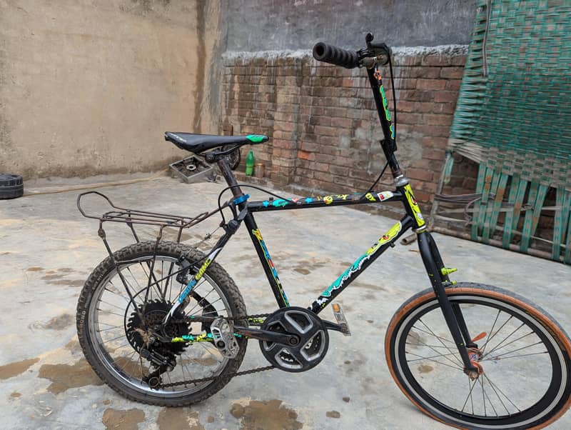 phoenix cycle 1