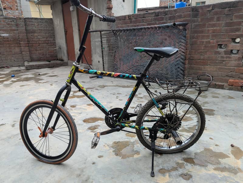 phoenix cycle 4