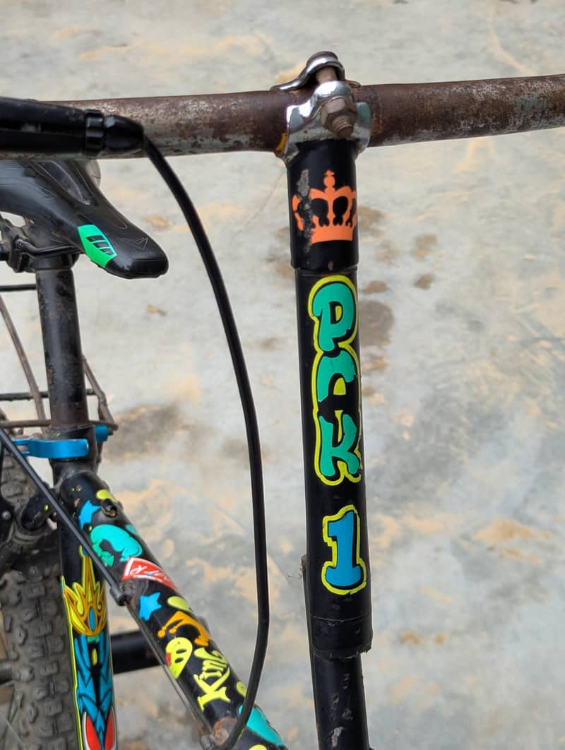 phoenix cycle 7