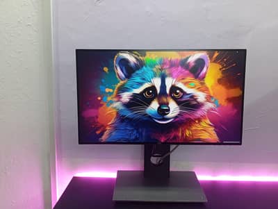 Dell UltraSharp U2518D 25" 2K QHD IPS HDR Monitor