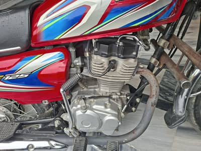 Fit 125 is for Sale