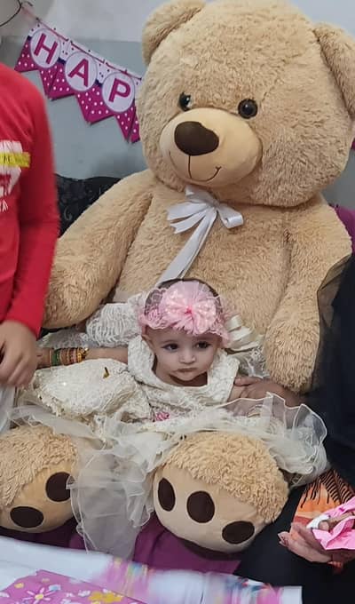 Big size Teddy bear