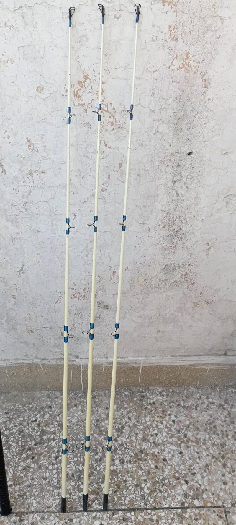 Fishing 5