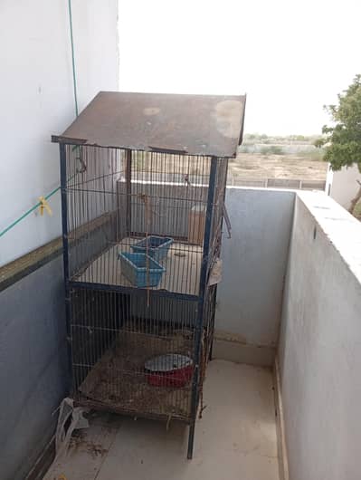 cage for sale
