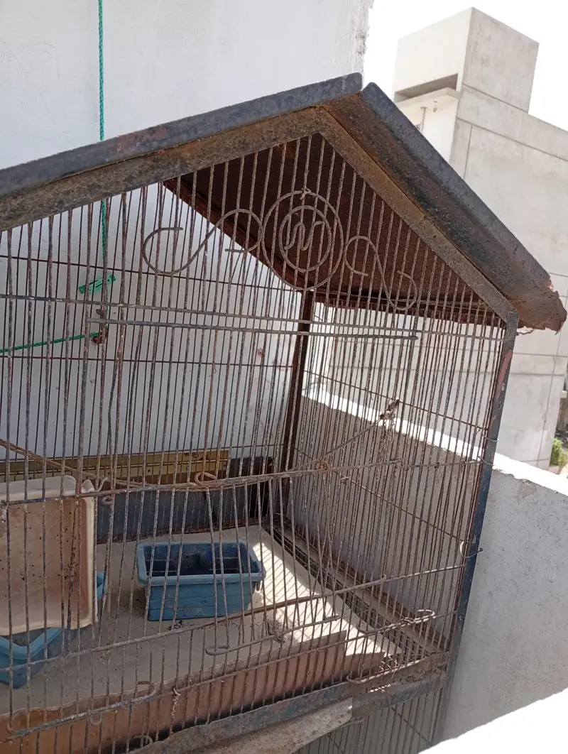cage for sale — photo 2