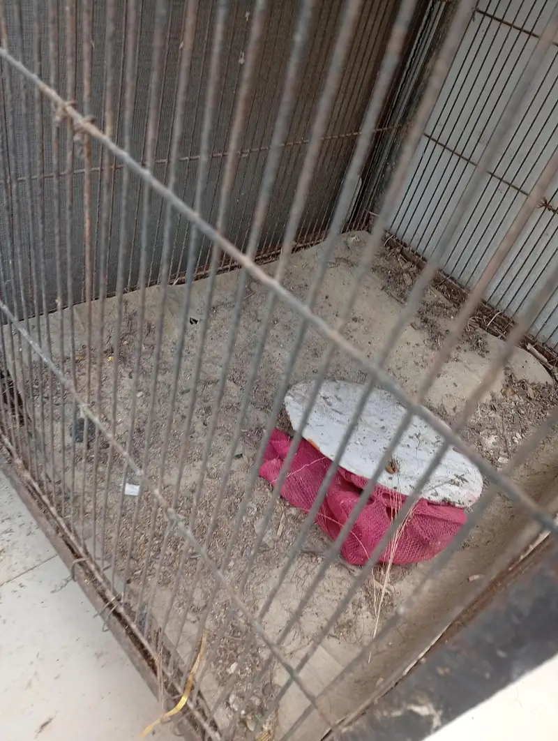 cage for sale — photo 3
