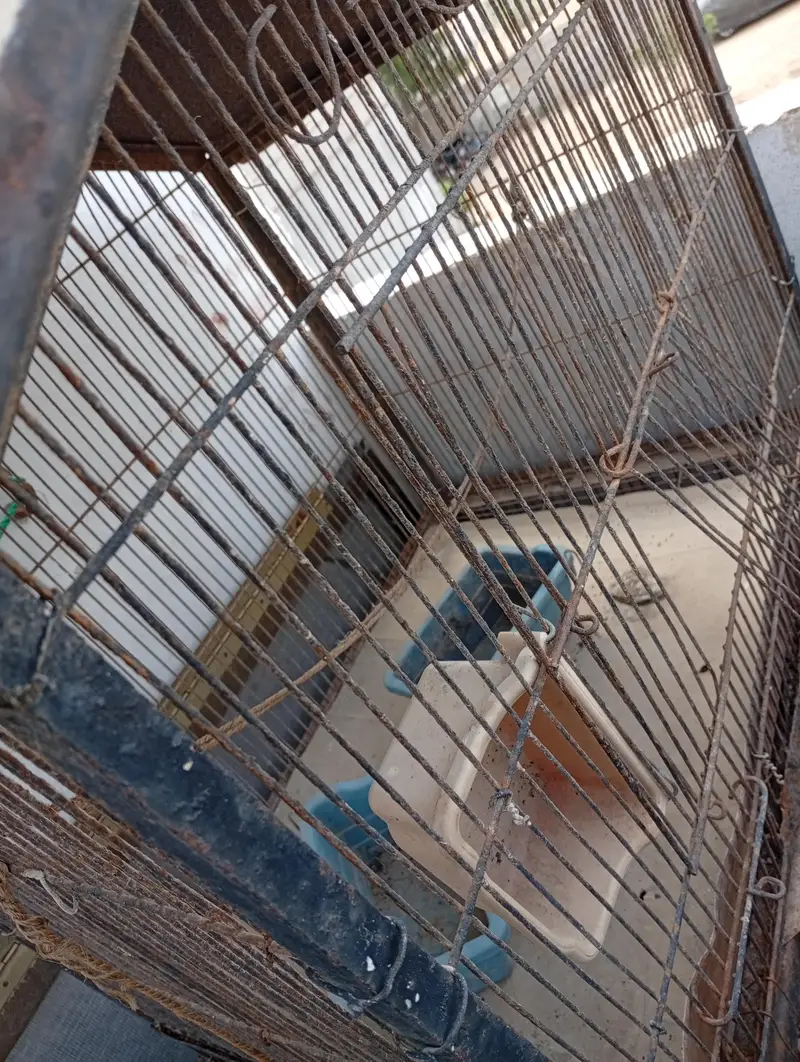 cage for sale — photo 4