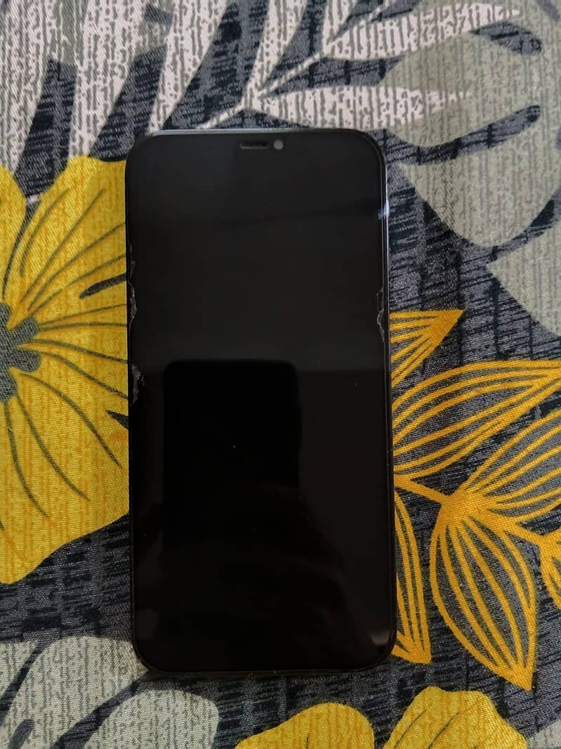 Apple iPhone 12 Pro Max 2