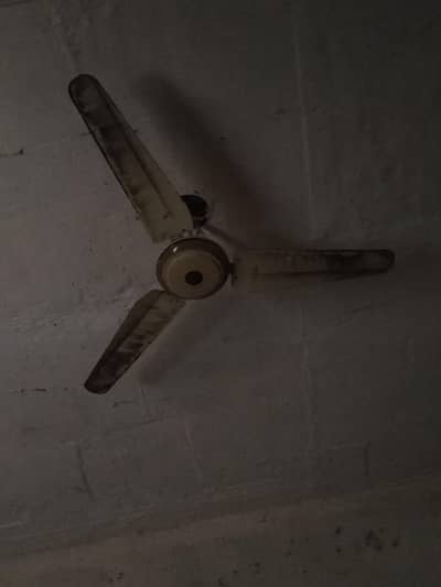 3 ceiling fan