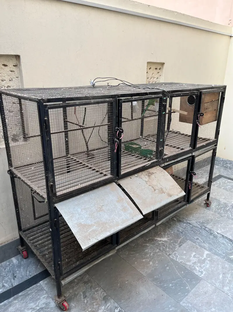 Birds Cage for sale — photo 2