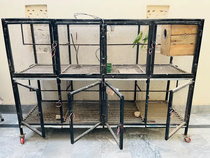 Birds Cage for sale — photo 3