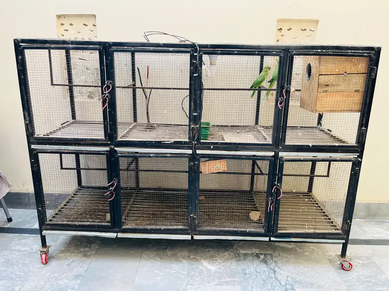 Birds Cage for sale — photo 4