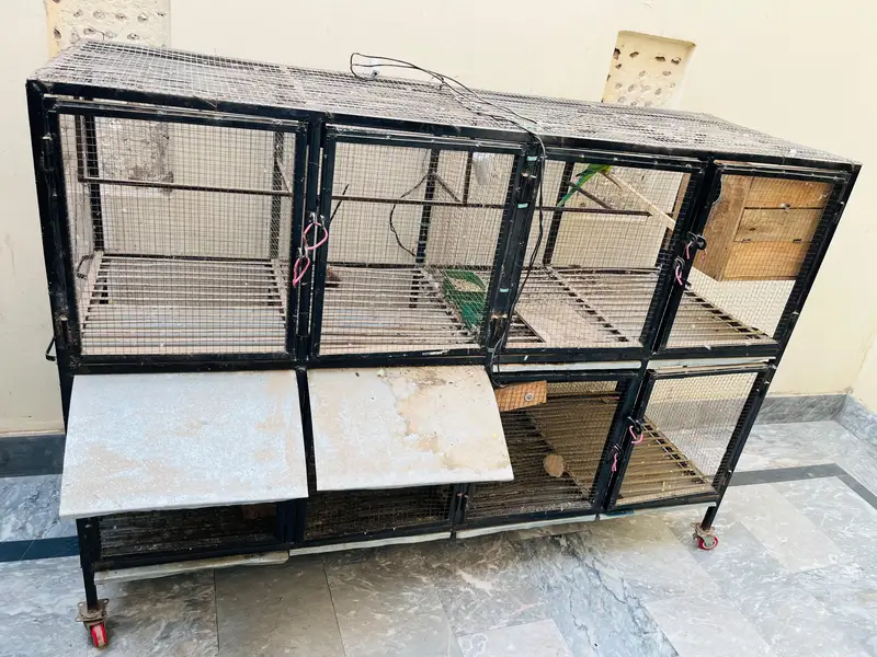 Birds Cage for sale — photo 5