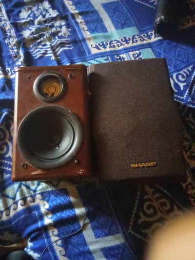 DJ speaker