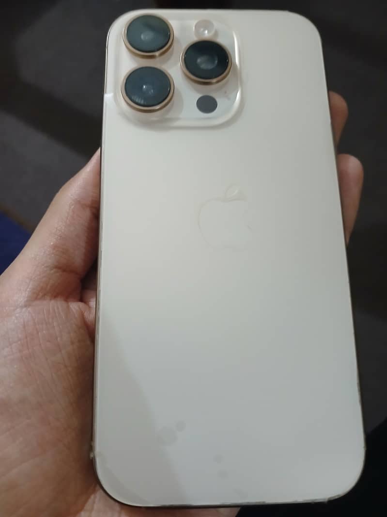 Apple iPhone 16 Pro 1